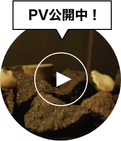 PV公開中！